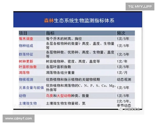 如何系统分析DK宏技术在各行业中的应用及其优化策略研究 如何系统分析DK宏技术在各行业中的应用及其优化策略研究